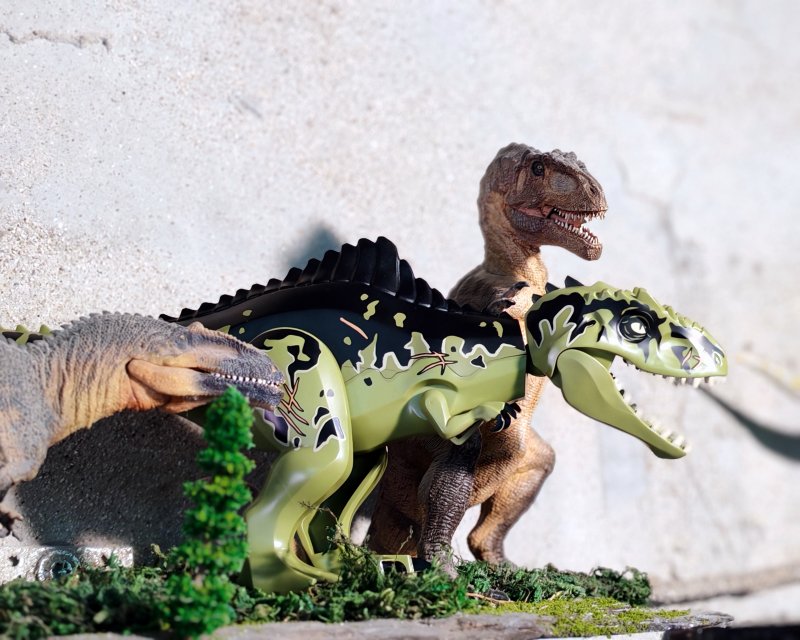 foto Kostkování mezi DINOSAURY 19278