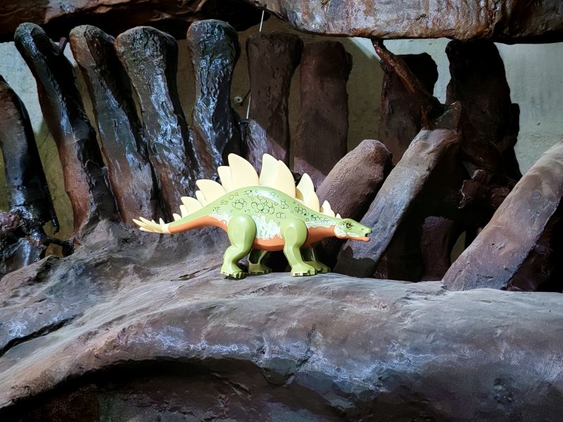 foto Kostkování mezi DINOSAURY 19281