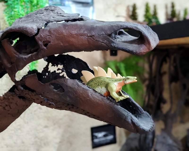 foto Kostkování mezi DINOSAURY 19286
