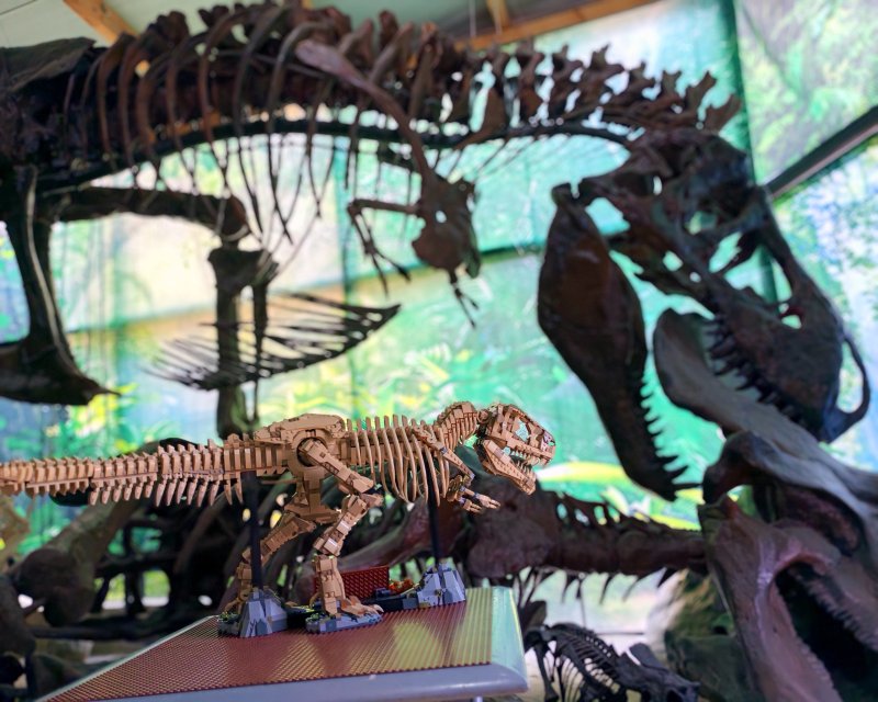 foto Kostkování mezi DINOSAURY 19291