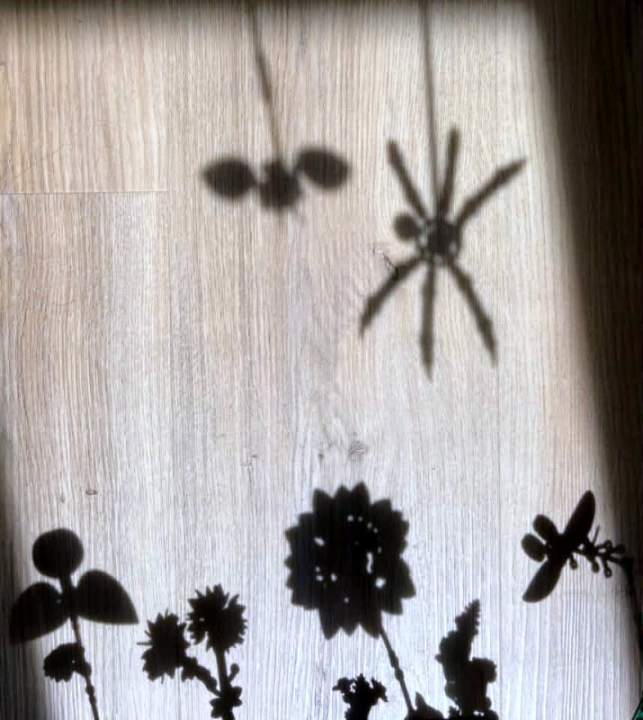 foto SOUTĚŽ Stín III. 19476