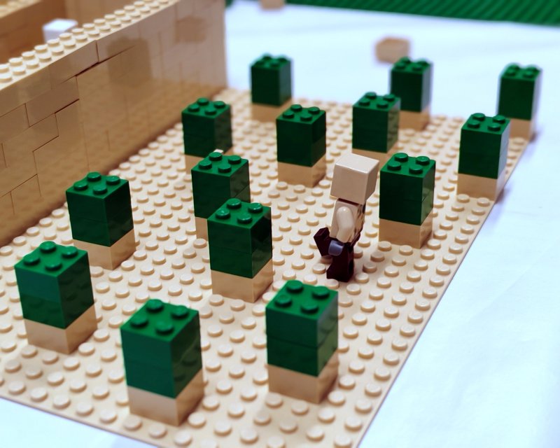 foto oblíbený MINECRAFT 19951